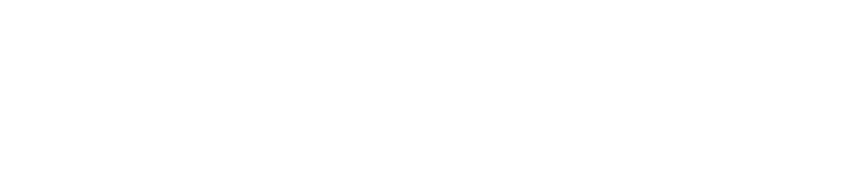 Assets 4.0